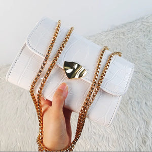 Chain Shoulder Crossbody Bag Purse for Women