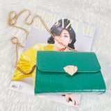 Chain Shoulder Crossbody Bag Purse for Women
