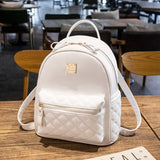 Leisure Lady Small Waterproof Mini Backpack for Women