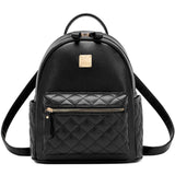 Leisure Lady Small Waterproof Mini Backpack for Women