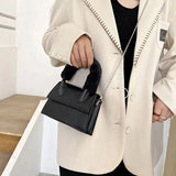Winter Chain Handbags For Women Pu Leather Female Shoulder Bag Plush Handle
