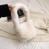 Winter Faux Fur Mini Shoulder Bag for Women Short Plush Tote Handbag