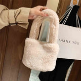 Winter Faux Fur Mini Shoulder Bag for Women Short Plush Tote Handbag