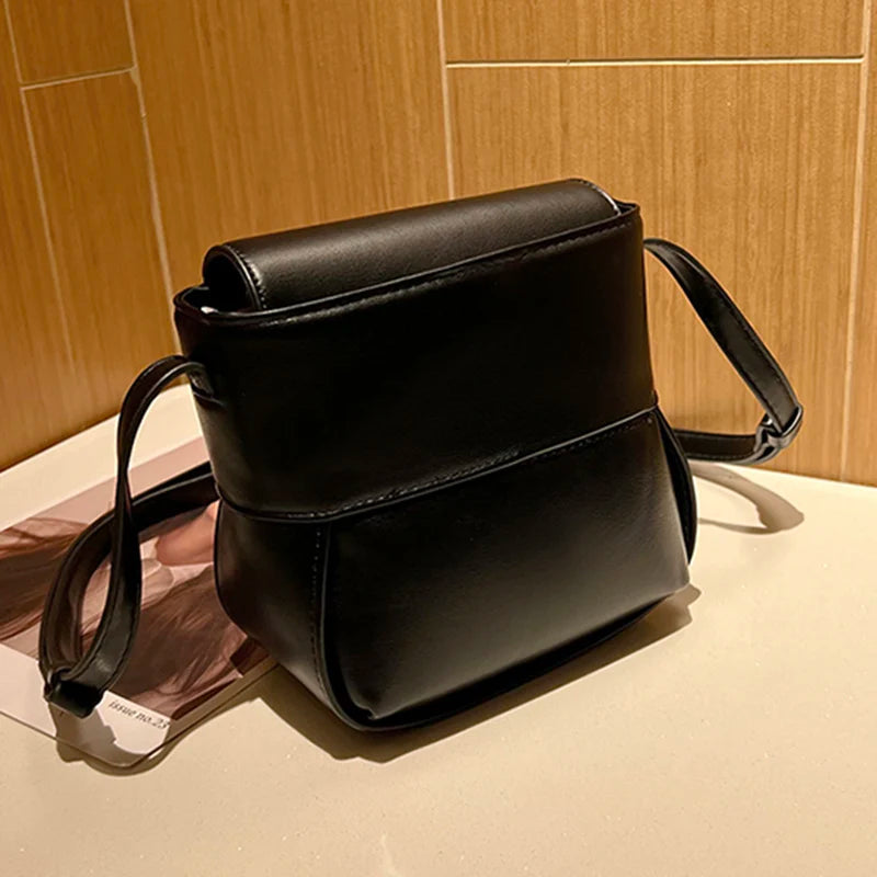 Winter Women Furry Lambswool Crossbody Bags Soft Leather Mini Shoulder Bags