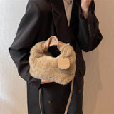 Women Faux Fur Crossbody Handbag Plush Shoulder Bag Zipper Lady's Messenger