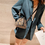 Leopard Print Leather Shoulder Bag Women Handbags Messenger Bags