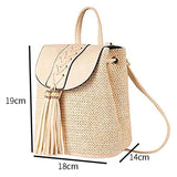 Women Straw Backpacks Hand Woven School Bags Casual Summer Bags