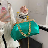 Women Silver Green Shoulder Bag Handbags and Purses with Chain
