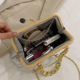 Women Silver Green Shoulder Bag Handbags and Purses with Chain
