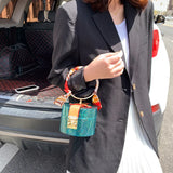 Women Mini Bag - Stylish Crossbody Shoulder Purse
