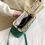 Clouds Chain Shoulder Bags Pleated Leather Clip Handbags Crossbody Bags
