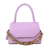 Retro Chain Shoulder Messenger Crossbody Bag Handbag Clutch