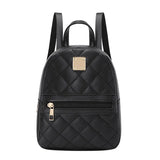 Embroidered Canvas Leather Backpack Women's Large Capacity Schoolbag