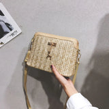 Women's Linen Straw Shell Fawn One Shoulder Bag
