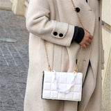Candy Thick Chain Quilted Shoulder Purses Women Clutch Bags
