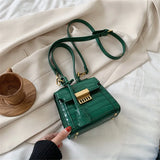 Mini Bags Women Bags Handbags And Purses