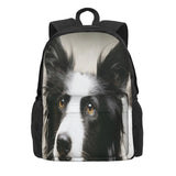 Border Collie Backpacks Men Women Bag