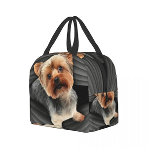 Yorkshire Terrier Insulated Lunch Bag for School Office Leakproof
