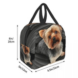 Yorkshire Terrier Insulated Lunch Bag for School Office Leakproof