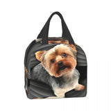Yorkshire Terrier Insulated Lunch Bag for School Office Leakproof