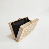 Champagne Acrylic Box Clutch Shoulder Bag