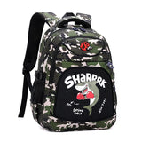 Orthopedic Waterproof School Bags for Boys